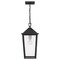 Quoizel Stoneleigh Outdoor Hanging 1 Light Mottled Black STNL1909MB - alternate 3